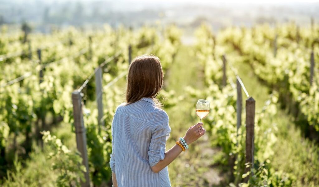 Où est situé le Château d'Yquem