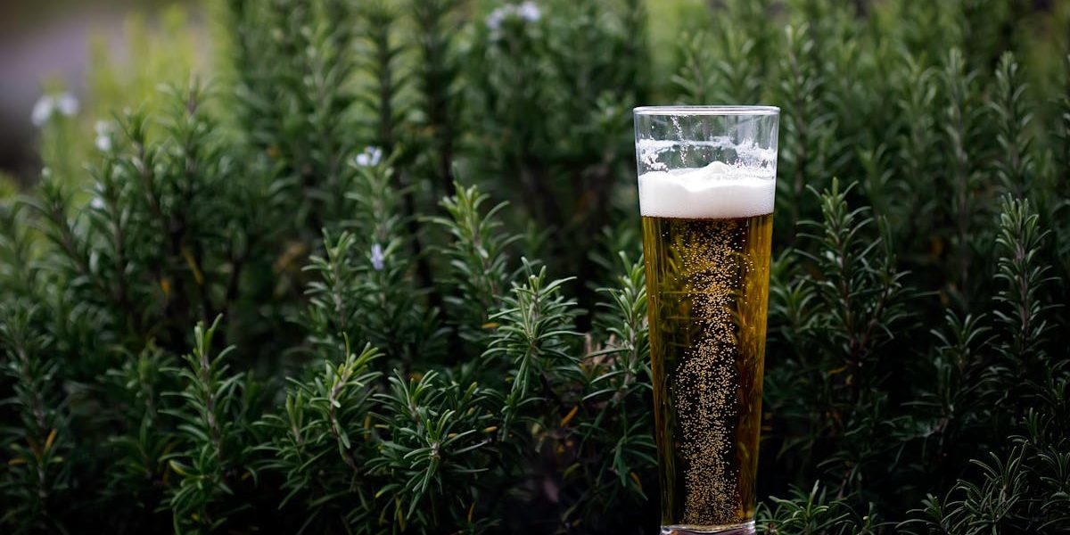 découvrez l'ambiance conviviale de notre jardin à bière, où vous pourrez déguster une sélection variée de bières artisanales, tout en profitant d'un cadre agréable et de la nature. parfait pour des moments de détente entre amis ou en famille.
