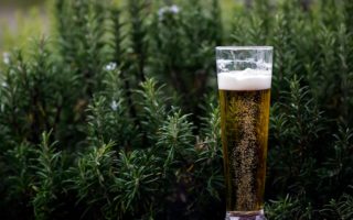 découvrez l'ambiance conviviale de notre jardin à bière, où vous pourrez déguster une sélection variée de bières artisanales, tout en profitant d'un cadre agréable et de la nature. parfait pour des moments de détente entre amis ou en famille.