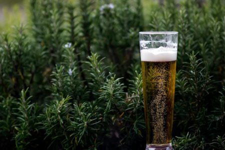 découvrez l'ambiance conviviale de notre jardin à bière, où vous pourrez déguster une sélection variée de bières artisanales, tout en profitant d'un cadre agréable et de la nature. parfait pour des moments de détente entre amis ou en famille.