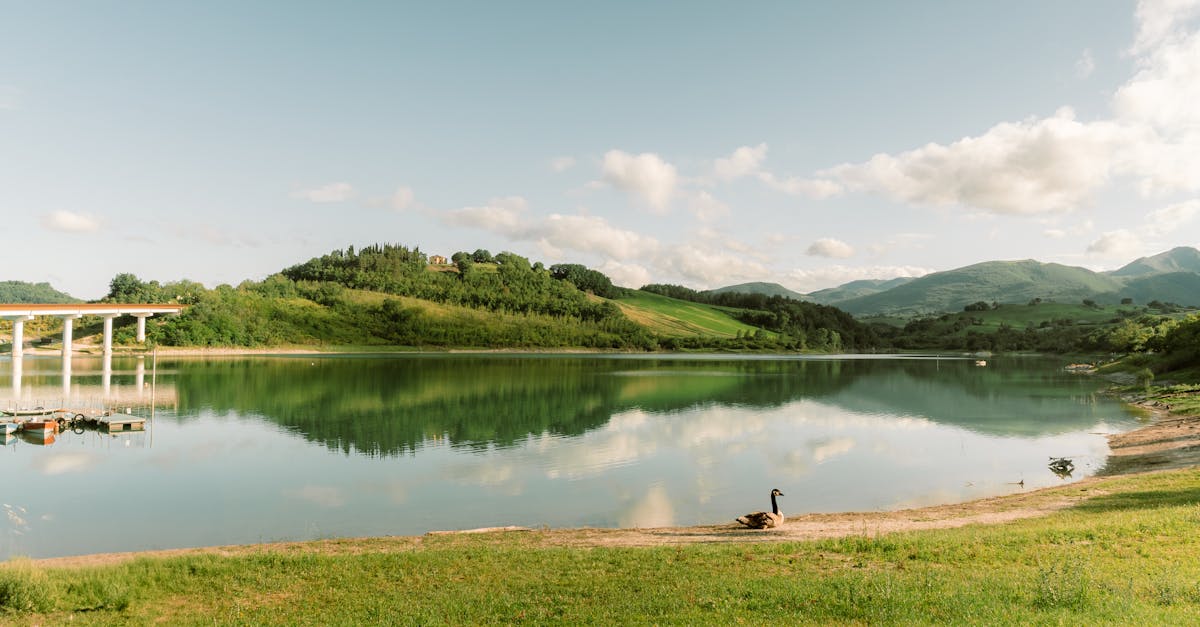 découvrez dimensione natura, un voyage immersif au cœur de la nature, où la beauté des paysages rencontre le respect de l'environnement. explorez nos produits écologiques et engagez-vous pour un mode de vie durable.