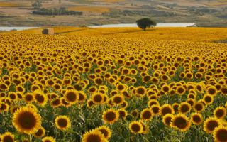 découvrez 'dimensione natura', un espace dédié à l'exploration des merveilles de la nature, aux produits écologiques et à un mode de vie durable. plongez dans un univers où la biodiversité et l'éthique se rencontrent pour un avenir meilleur.