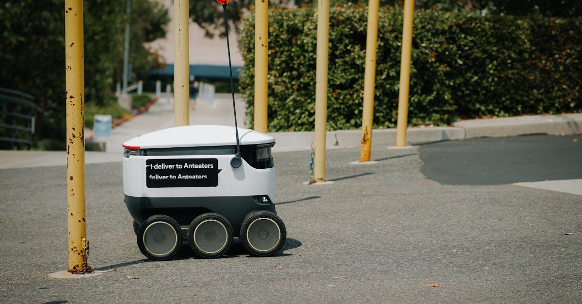 découvrez des services innovants qui transforment vos idées en réalité. nous vous proposons des solutions sur mesure pour répondre à vos besoins spécifiques, alliant créativité et technologie de pointe.