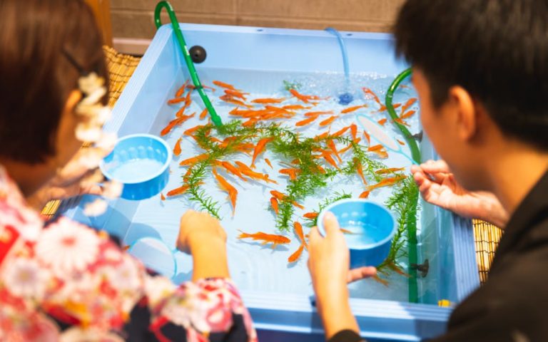 découvrez l'art de vivre japonais à travers ses traditions, sa cuisine, et son esthétique unique. explorez des conseils pour intégrer le style de vie japonais dans votre quotidien et enrichir votre expérience culturelle.