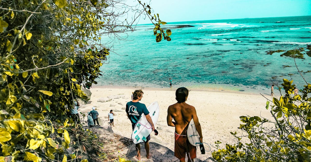 découvrez bali, l’île indonésienne paradisiaque réputée pour ses plages sublimes, ses rizières verdoyantes, sa culture unique et ses temples majestueux. préparez votre voyage et profitez d’une expérience inoubliable entre détente, aventure et découvertes.