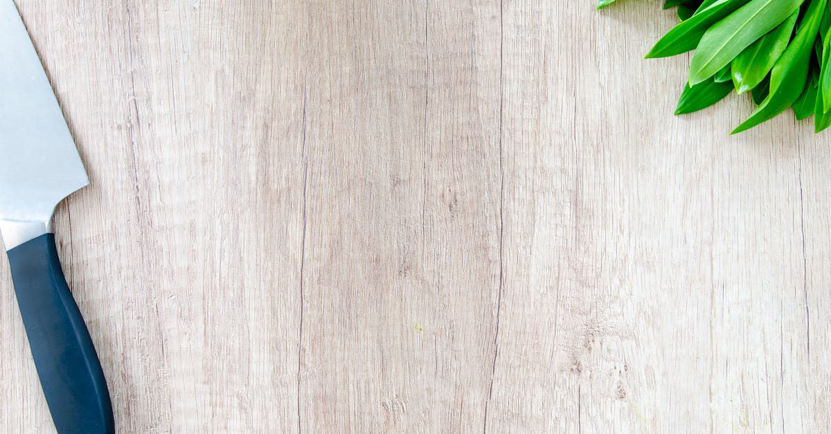 découvrez l'art de la cuisine avec nos recettes faciles, conseils de chefs et astuces pour réussir tous vos plats à la maison. inspirez-vous et régalez-vous au quotidien !