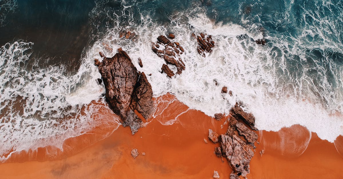 découvrez les meilleures destinations du monde, des lieux incontournables aux trésors cachés, pour des voyages inoubliables adaptés à tous les styles et envies.