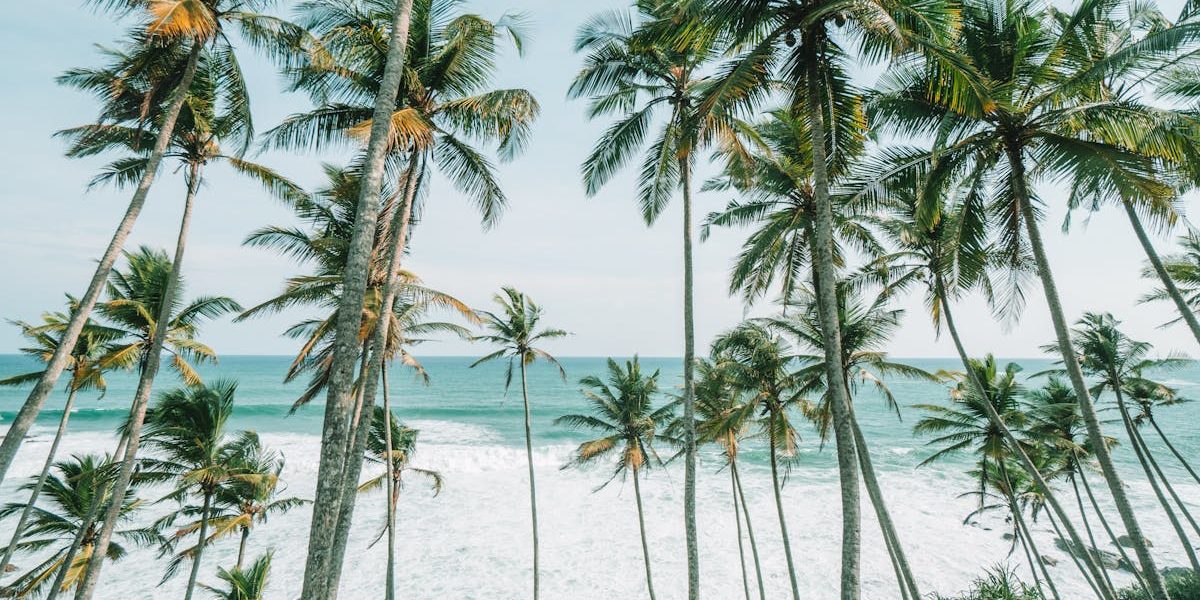 explorez les plus belles destinations de voyage à travers le monde : conseils, idées de séjours, lieux incontournables et inspirations pour préparer votre prochaine aventure.