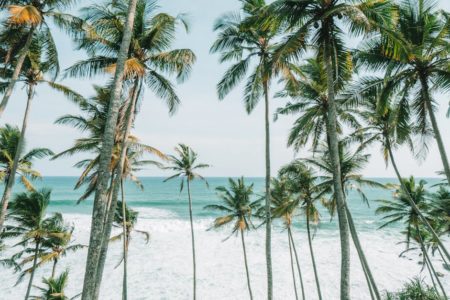 explorez les plus belles destinations de voyage à travers le monde : conseils, idées de séjours, lieux incontournables et inspirations pour préparer votre prochaine aventure.