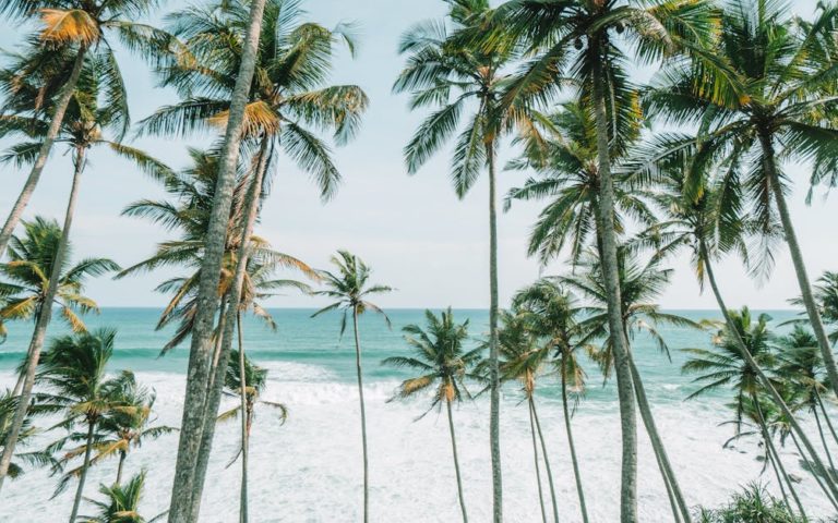 explorez les plus belles destinations de voyage à travers le monde : conseils, idées de séjours, lieux incontournables et inspirations pour préparer votre prochaine aventure.