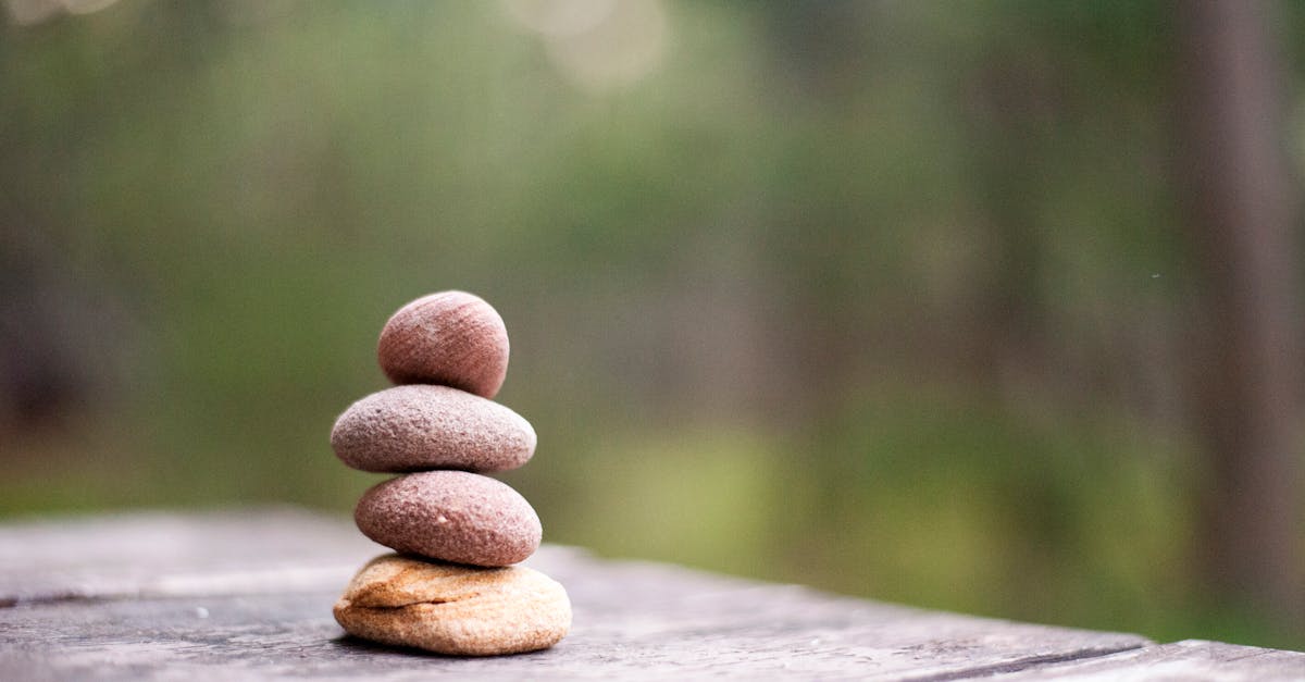 découvrez des stratégies efficaces de growth pour développer votre entreprise, attirer de nouveaux clients et optimiser votre croissance grâce à des conseils pratiques et des outils innovants.