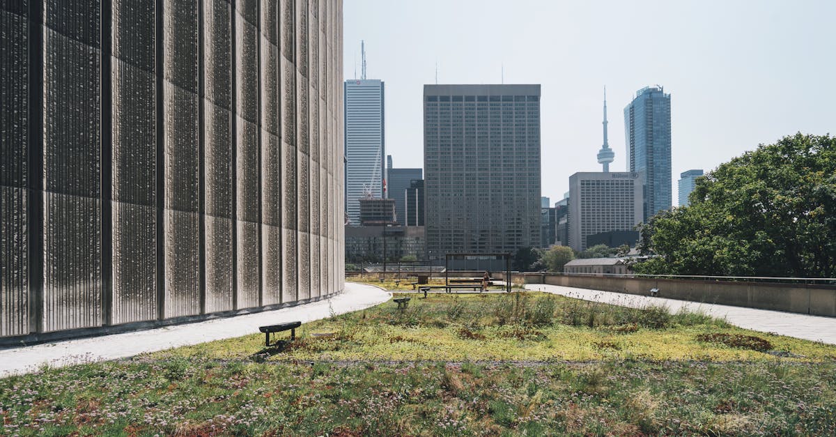 découvrez comment la durabilité façonne notre avenir : conseils, solutions et innovations pour un mode de vie plus respectueux de l'environnement, à la portée de tous.
