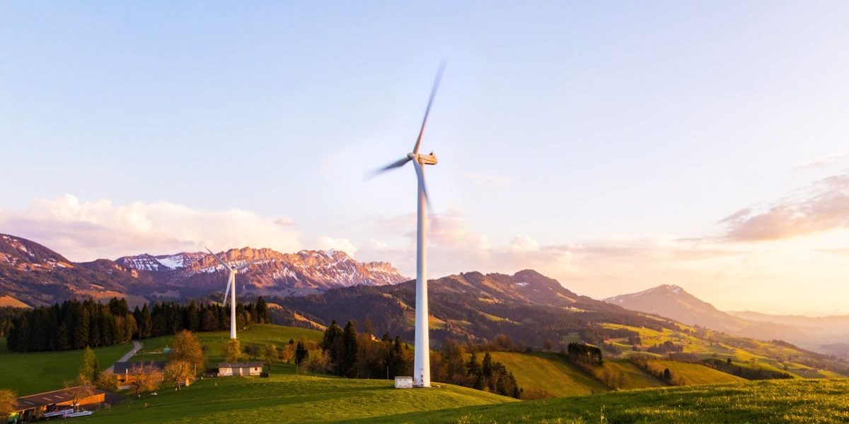 découvrez ce qu'est la sustainability : ses enjeux, ses objectifs et les meilleures pratiques pour adopter un mode de vie durable au quotidien.