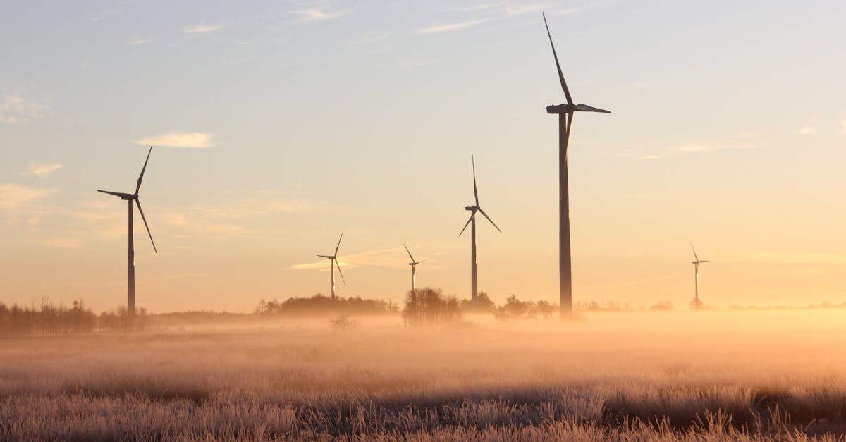 découvrez les principes et les pratiques de la durabilité : comment adopter un mode de vie écoresponsable et préserver l’environnement au quotidien.