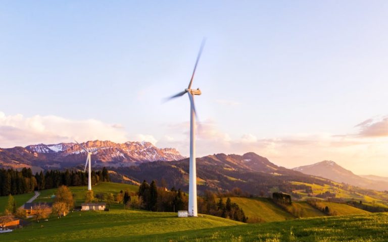 découvrez ce qu'est la sustainability : ses enjeux, ses objectifs et les meilleures pratiques pour adopter un mode de vie durable au quotidien.