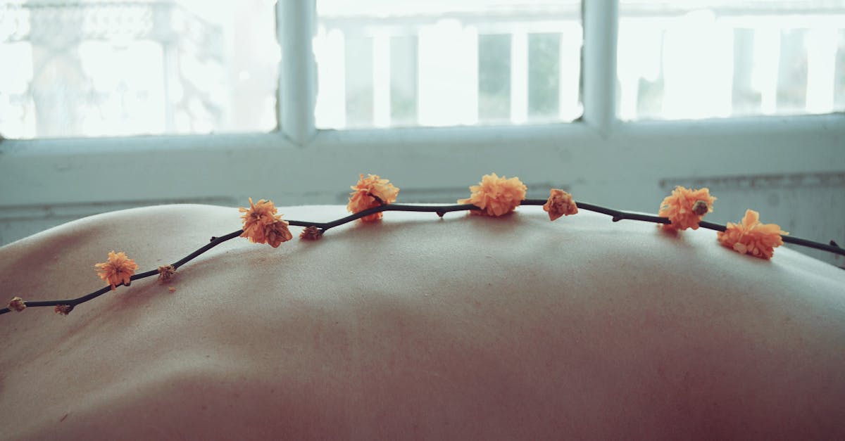 découvrez le bien-être sous toutes ses formes : conseils, astuces et informations pour une vie plus saine et équilibrée. prenez soin de votre corps et de votre esprit dès aujourd'hui !